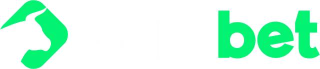 Logo Bulls